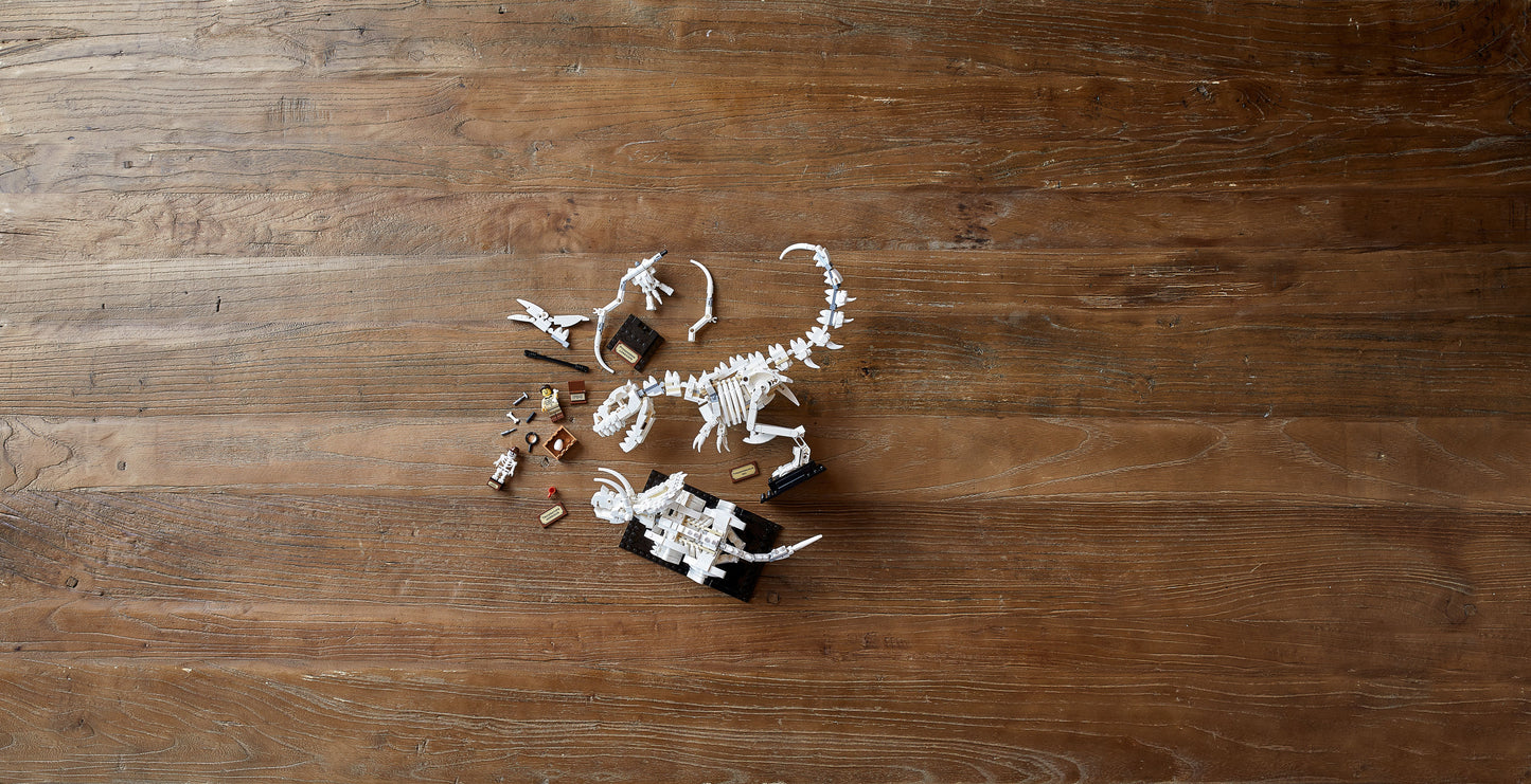 LEGO Dinosaur Fossils 21320 Ideas