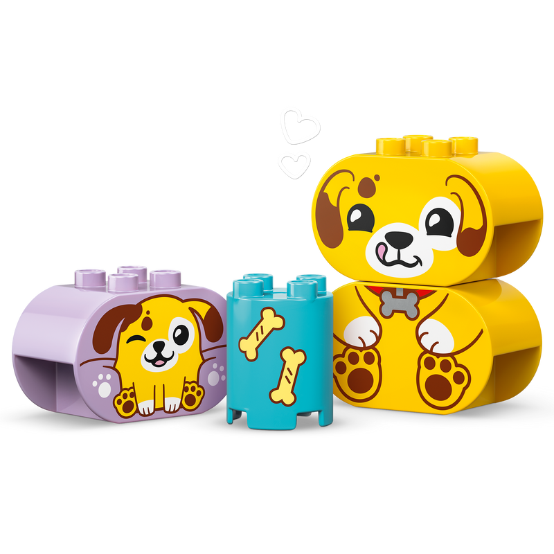 LEGO Shape Sorter: Puppy House 10441 DUPLO - - 2TTOYS | Official LEGO shop😊🥰