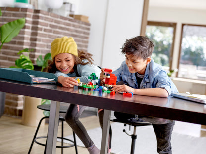 LEGO The Wool Farm 21153 Minecraft