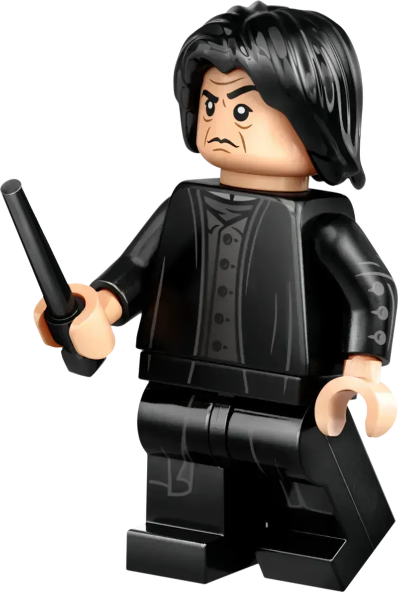 ليغو كاستين زوينشتاين دويليركلوب 76441 هاري بوتر