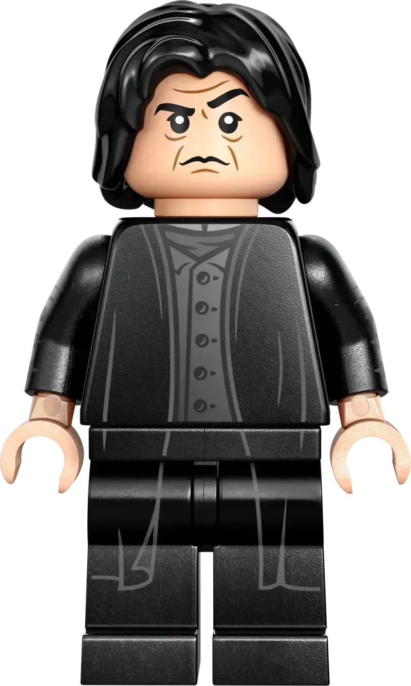 ليغو كاستين زوينشتاين دويليركلوب 76441 هاري بوتر