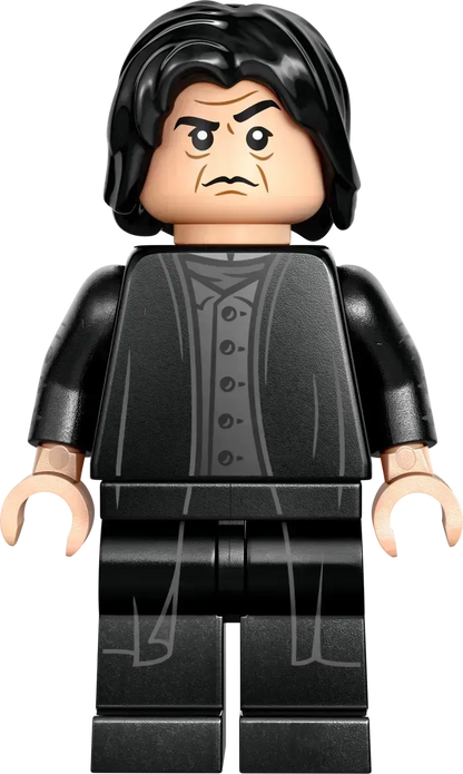 ليغو كاستين زوينشتاين دويليركلوب 76441 هاري بوتر