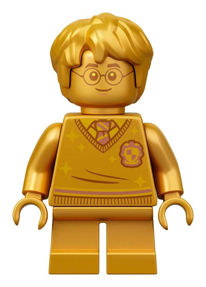 ليغو هوجورتس: خطأ جرعة العصير المتعدد 76386 هاري بوتر