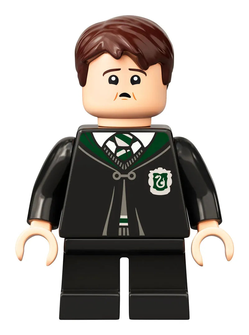 ليغو هوجورتس: خطأ جرعة العصير المتعدد 76386 هاري بوتر
