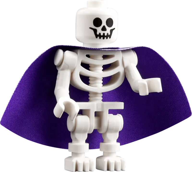 ليغو زنزانات وتنانين: حكاية التنين الأحمر 21348 فكرة