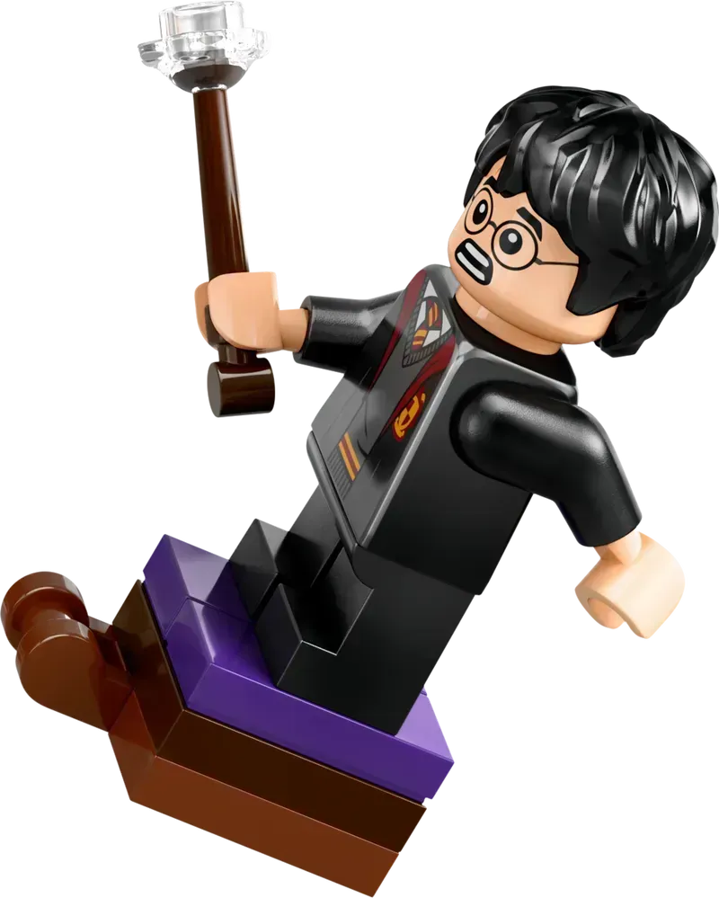 ليغو كاستين زوينشتاين دويليركلوب 76441 هاري بوتر