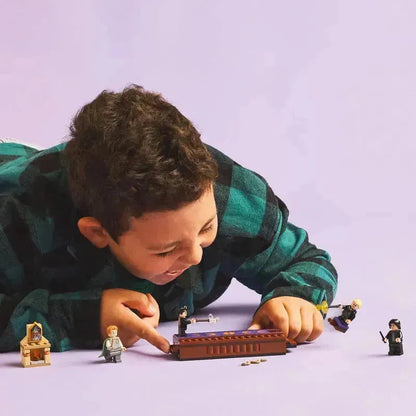 ليغو كاستين زوينشتاين دويليركلوب 76441 هاري بوتر