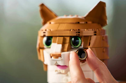 LEGO Orange Cat 21376 Ideas
