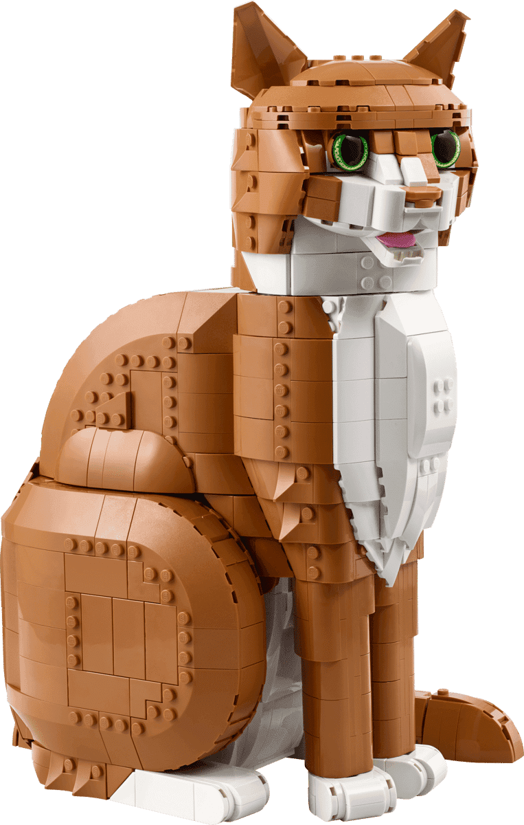 LEGO Orange Cat 21376 Ideas