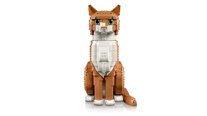 LEGO Orange Cat 21376 Ideas