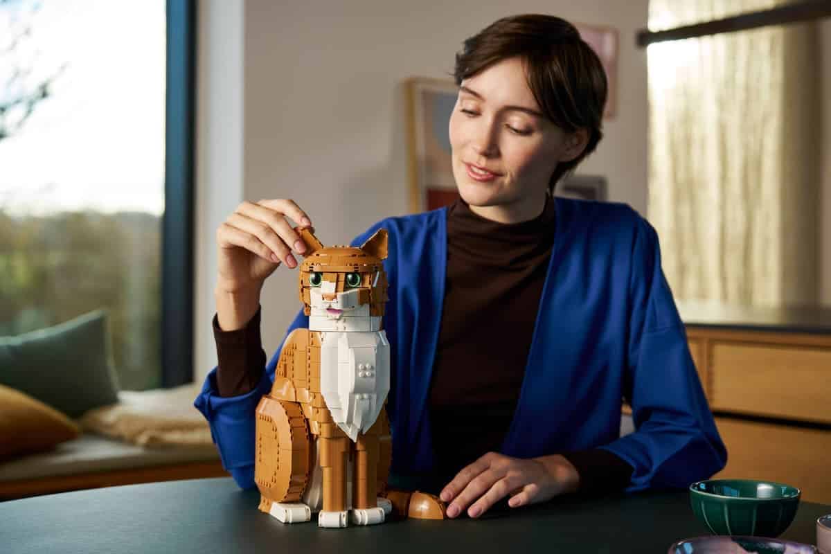 LEGO Orange Cat 21376 Ideas