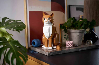 LEGO Orange Cat 21376 Ideas