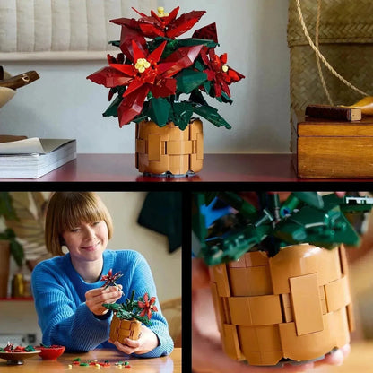 أيقونات ليغو بونسيتيا 10370