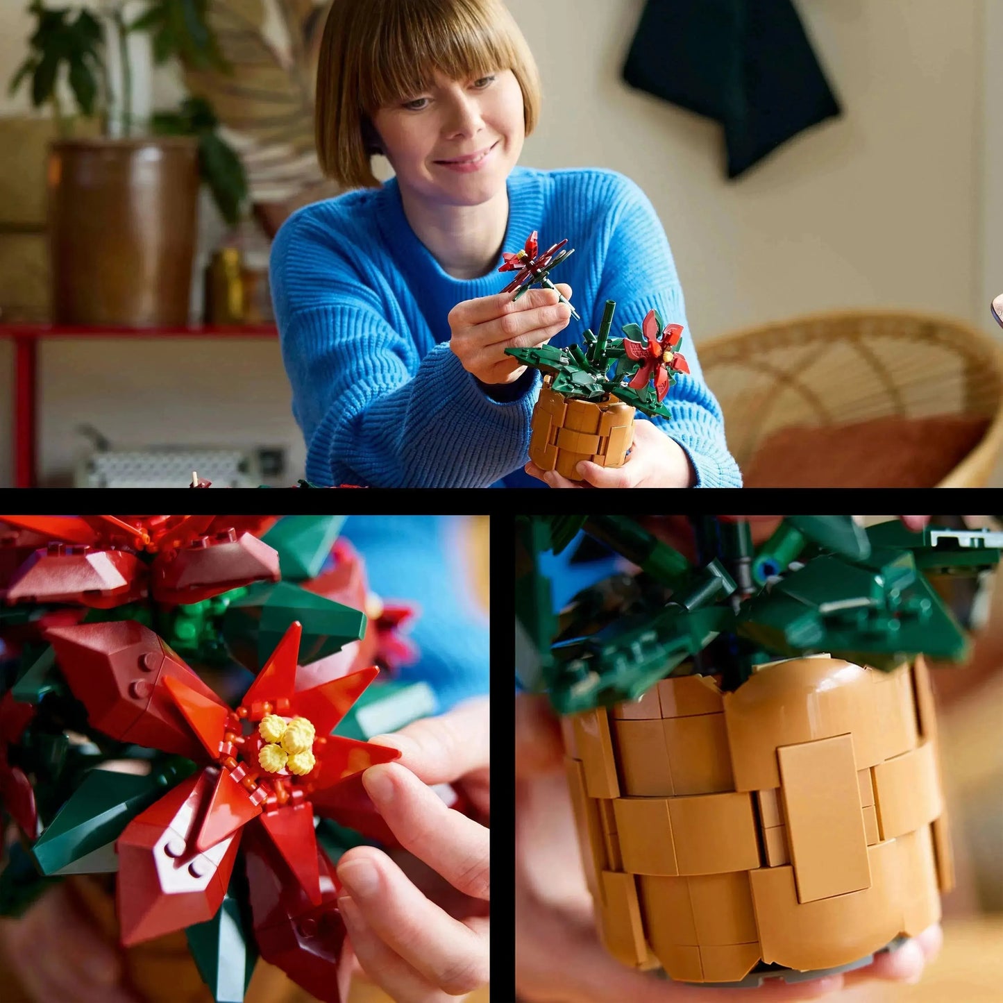 أيقونات ليغو بونسيتيا 10370