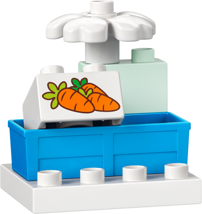 ليغو حفلة قلعة آنا وإلسا المجمدة 10455 دوبلو