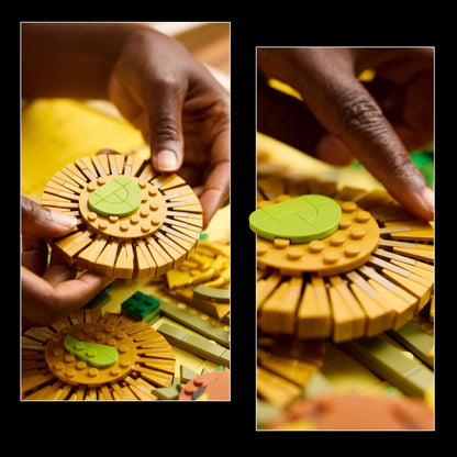 ليغو فنسنت فان جوخ - عباد الشمس 31215 فن