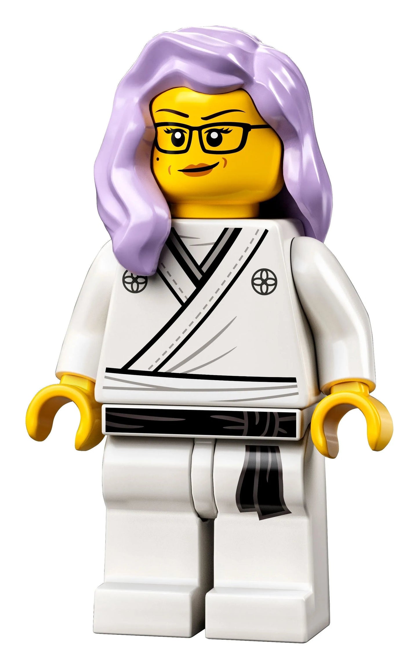 ليجو نينجاجو حدائق المدينة 71741 نينجاجو