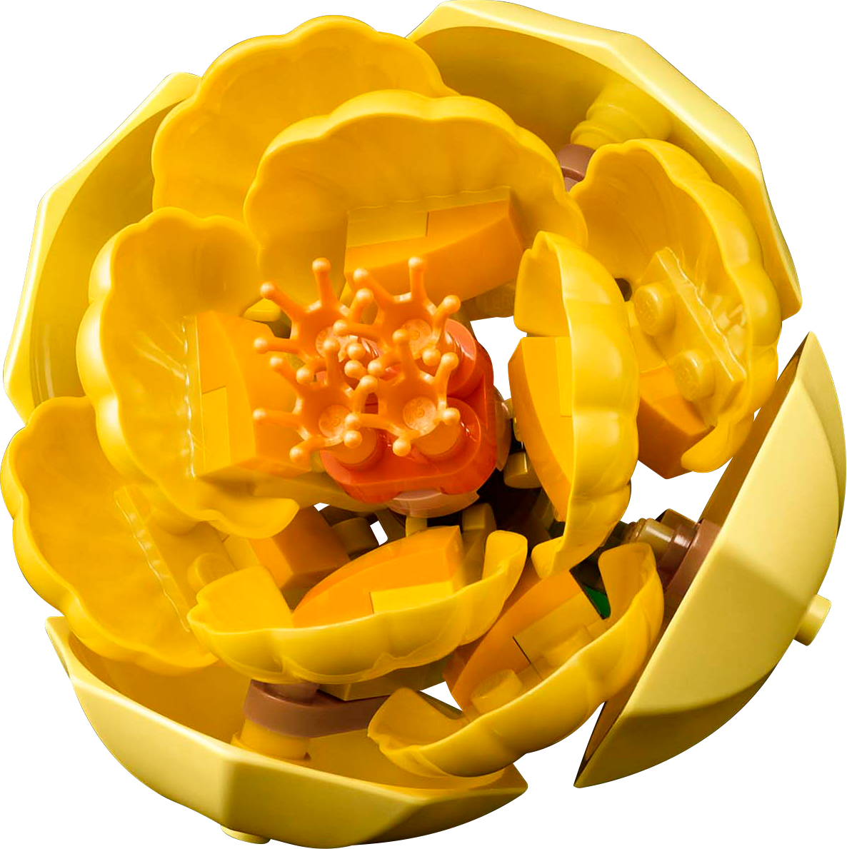 مجموعة ليغو لتنسيق الزهور ١٠٣٤٥ النباتية