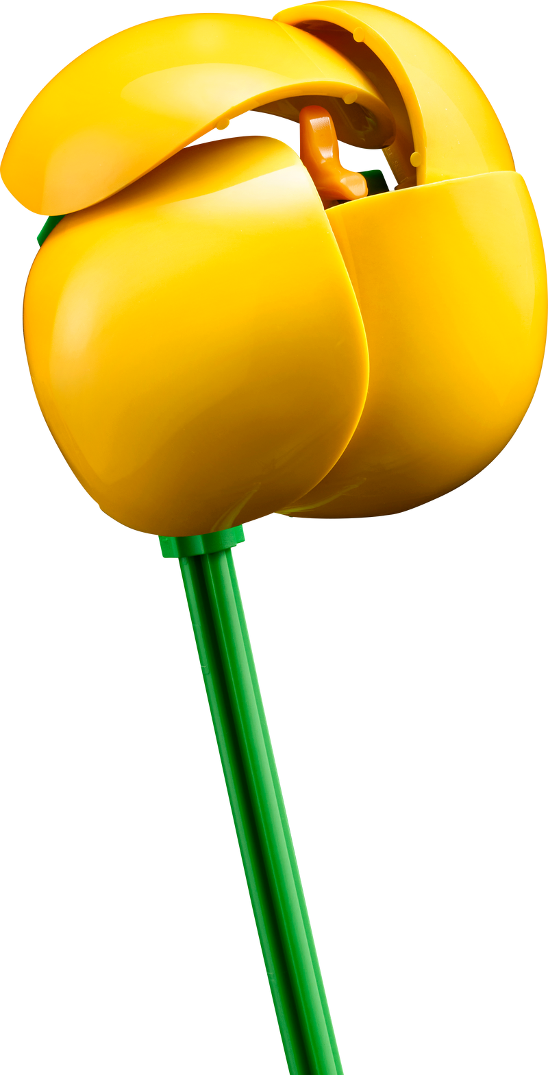 ليجو كلاين زومرز بوكيت 10347 نباتي