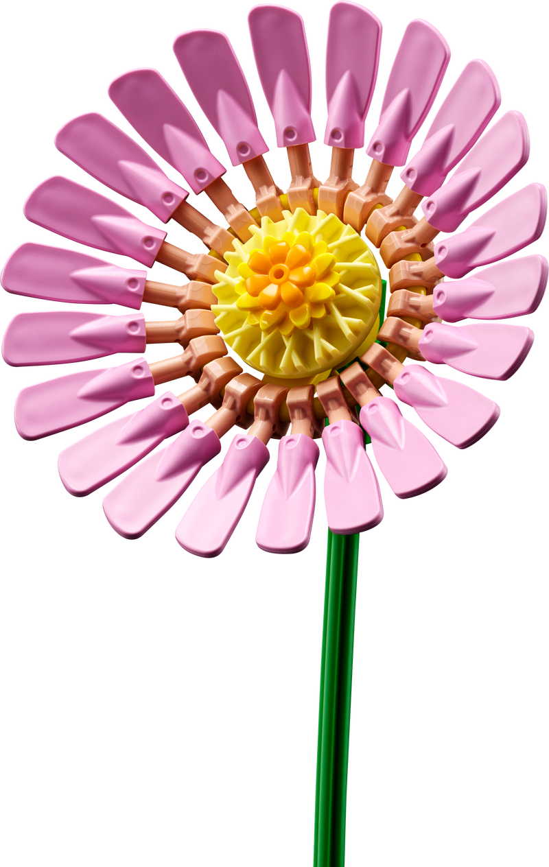 ليجو كلاين زومرز بوكيت 10347 نباتي