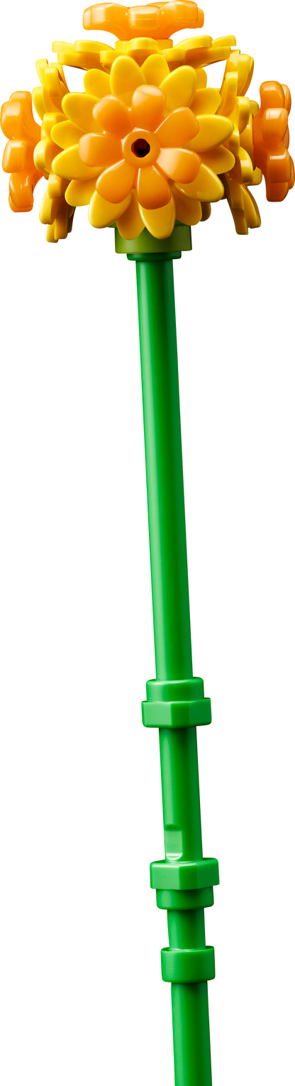 ليجو كلاين زومرز بوكيت 10347 نباتي