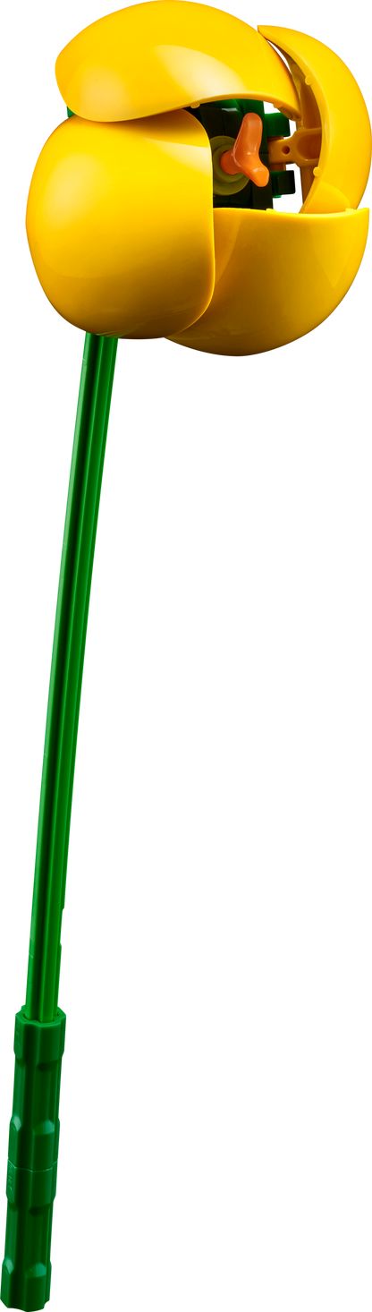 ليجو كلاين زومرز بوكيت 10347 نباتي