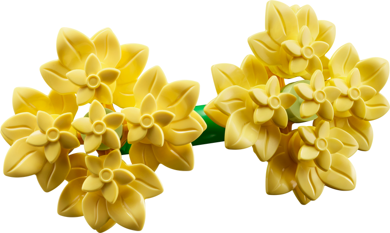 ليجو كلاين زومرز بوكيت 10347 نباتي