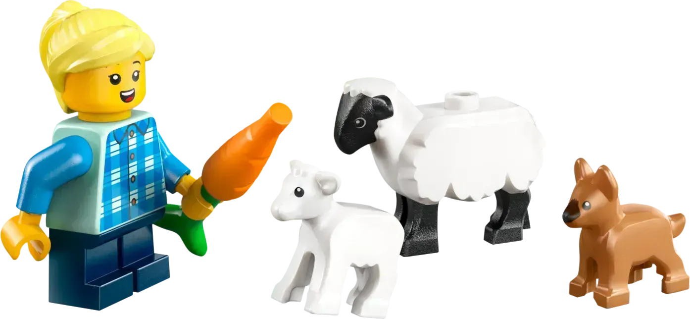 ليجو جرار رود مع آنهانجر إن شابين 60461 سيتي