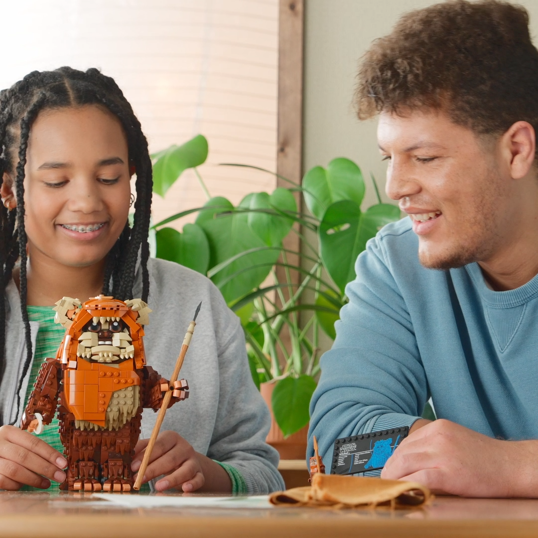 ليجو ويكيت إيوك™ 75430 حرب النجوم