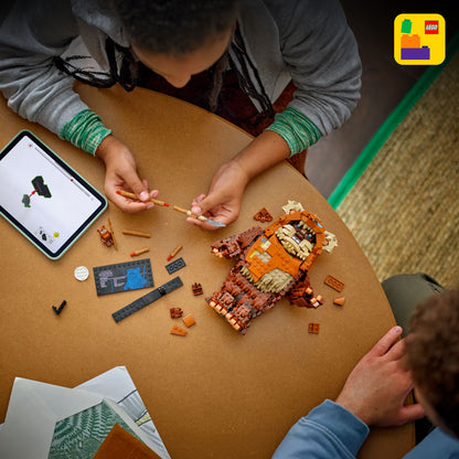 ليجو ويكيت إيوك™ 75430 حرب النجوم