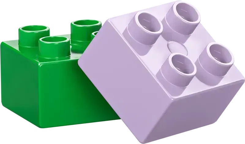 ليغو كريتيف بلومينتوين 10444 دوبلو