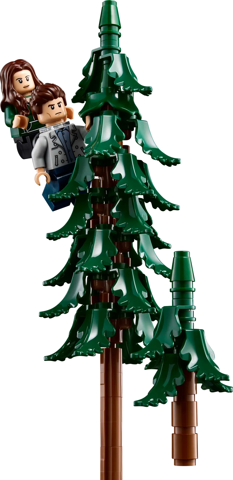 ليغو الشفق: أفكار منزل كولين 21354