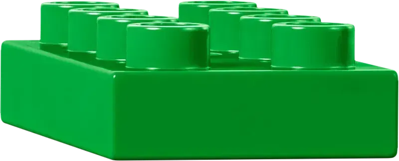 ليغو كريتيف بلومينتوين 10444 دوبلو