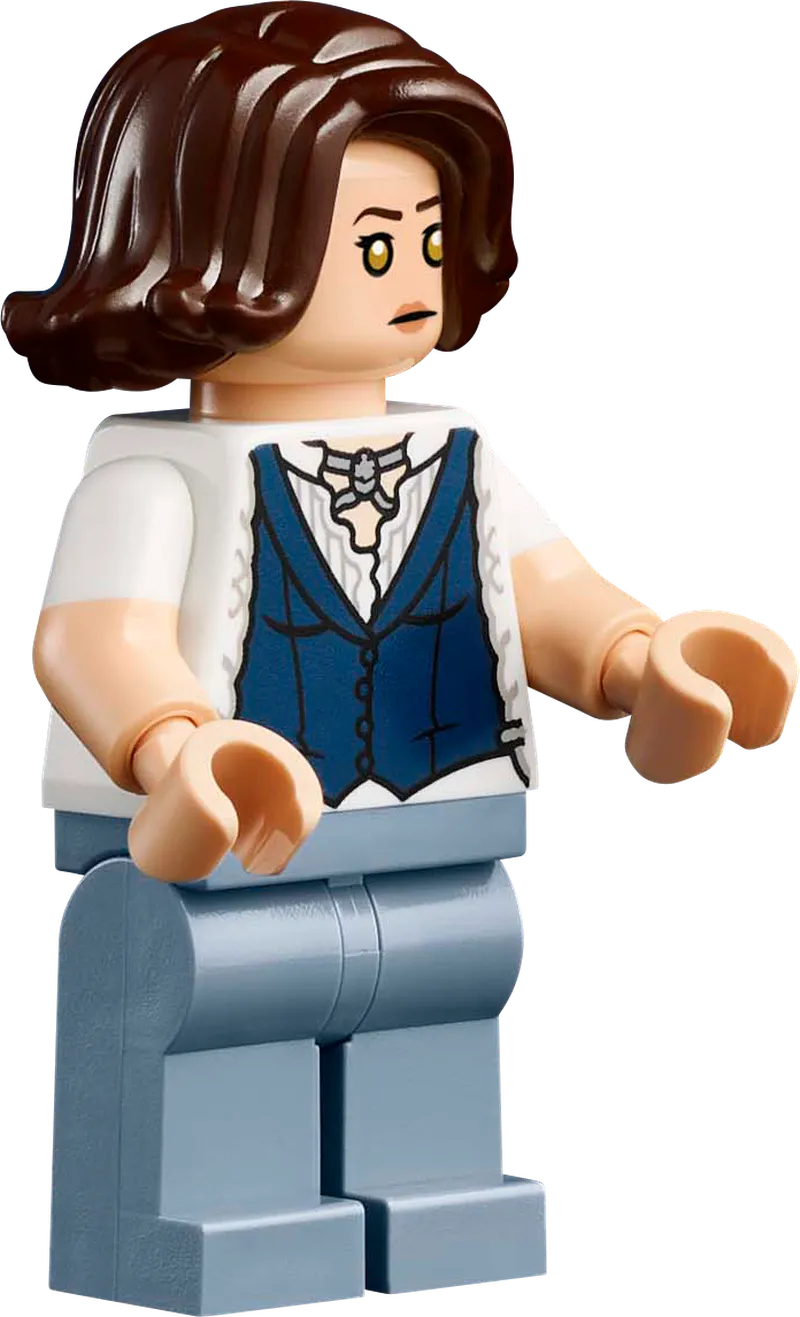 ليغو الشفق: أفكار منزل كولين 21354